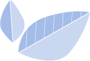 feuilles effacement électrique
